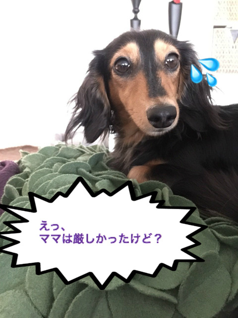 BlogPaint