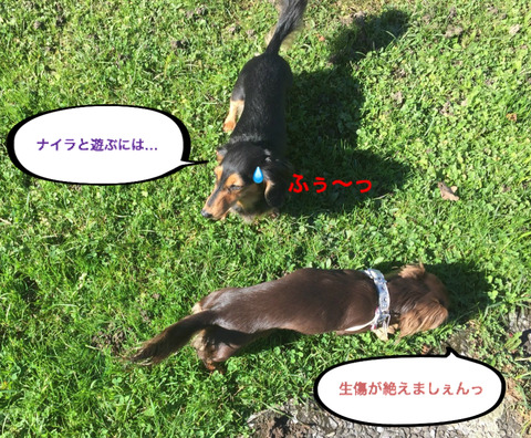BlogPaint