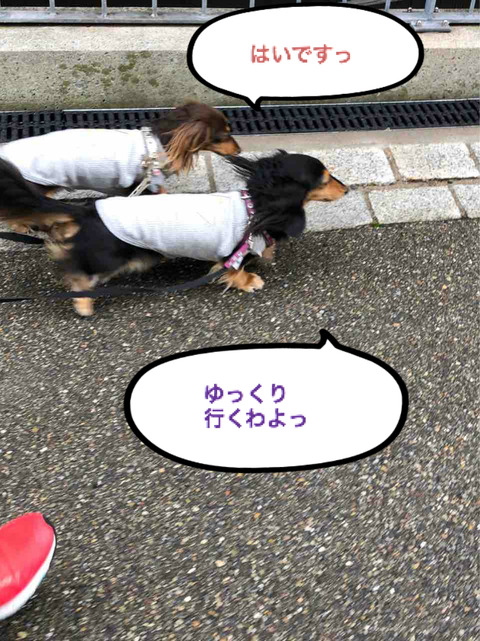 BlogPaint