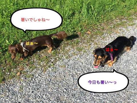 BlogPaint