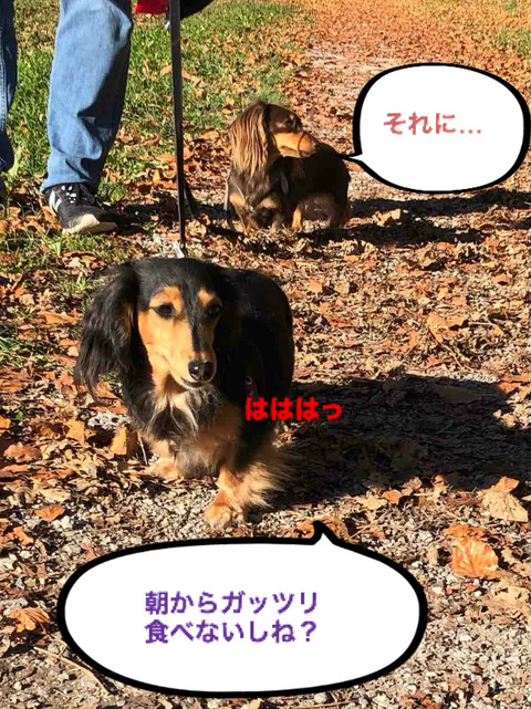 BlogPaint