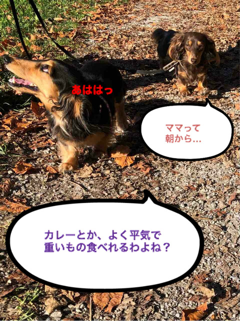 BlogPaint