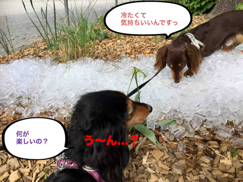 BlogPaint