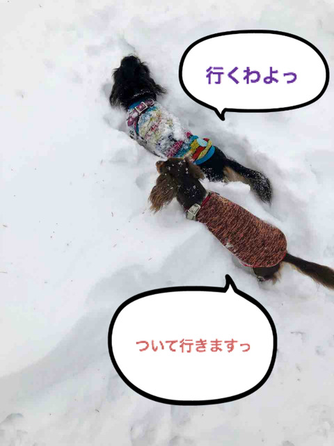 BlogPaint