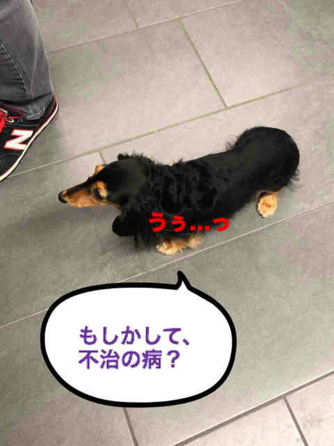 BlogPaint