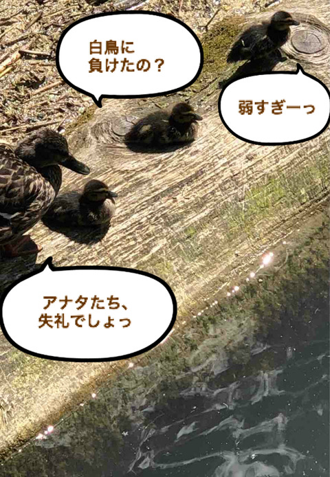 BlogPaint