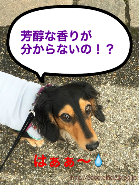 BlogPaint