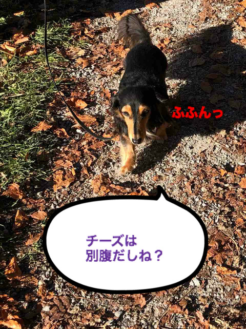 BlogPaint