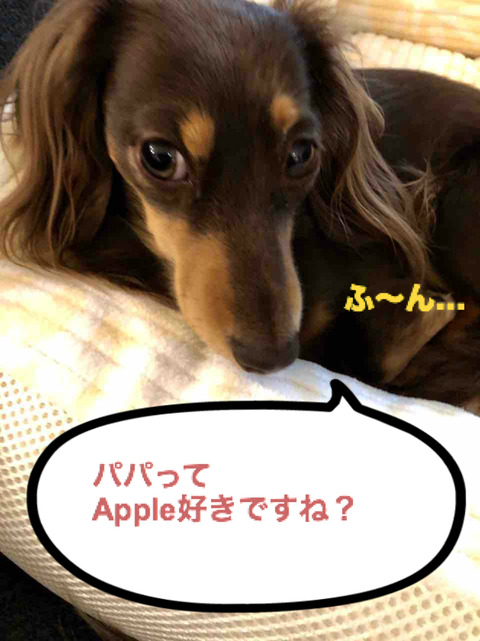 BlogPaint