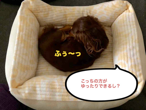 BlogPaint