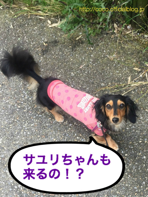 BlogPaint
