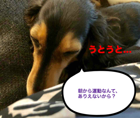 BlogPaint