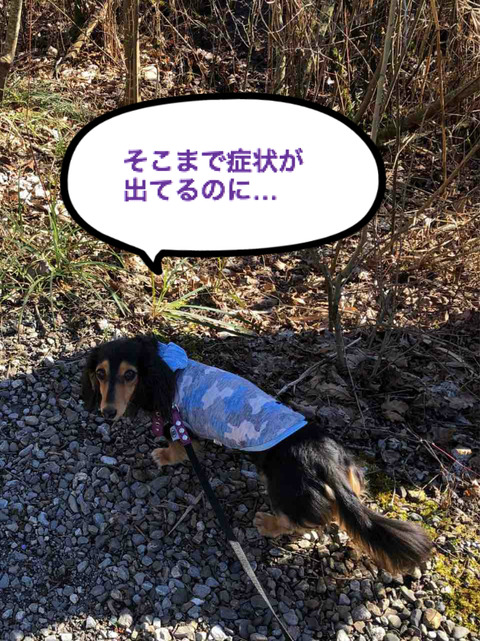 BlogPaint