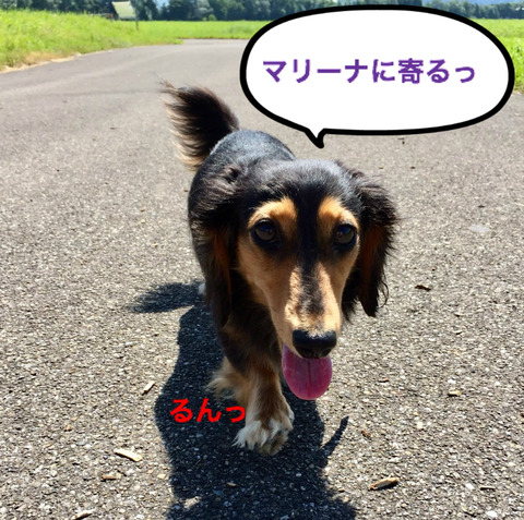 BlogPaint