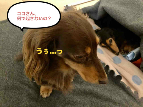 BlogPaint