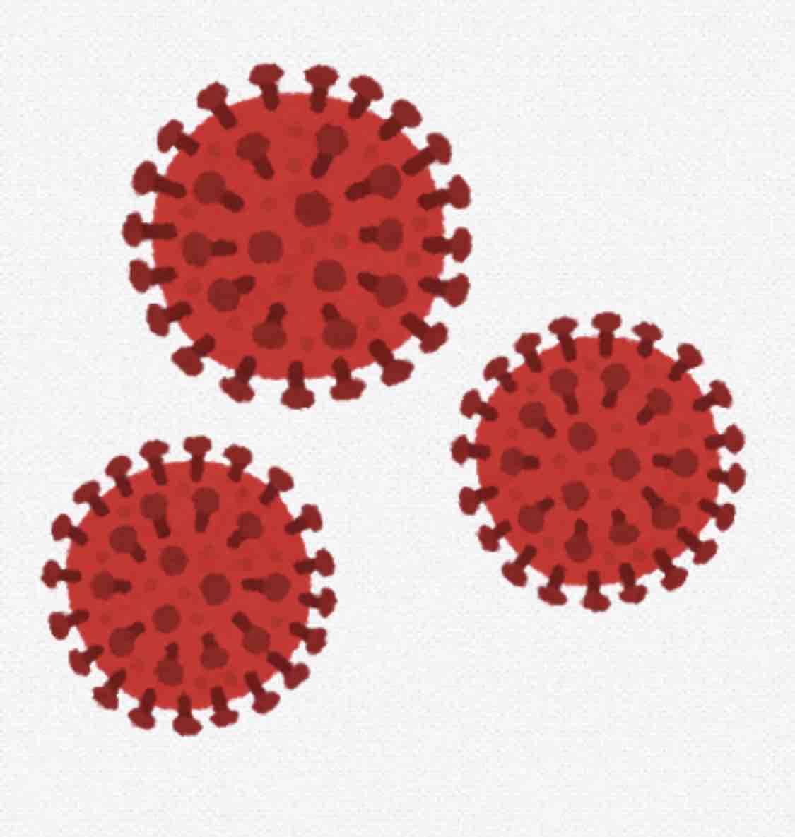 Potato S Family In Switzerland 日本からスイスへの入国は原則禁止に