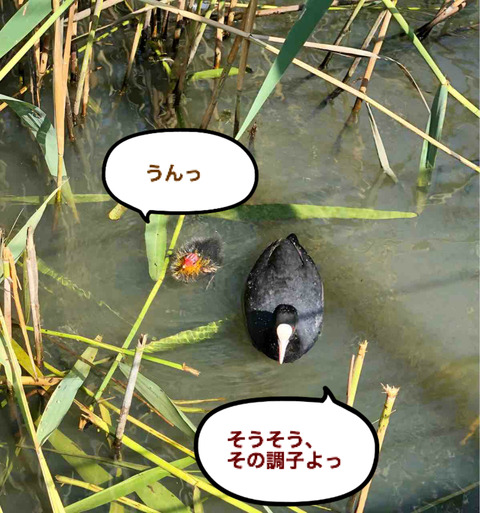 BlogPaint