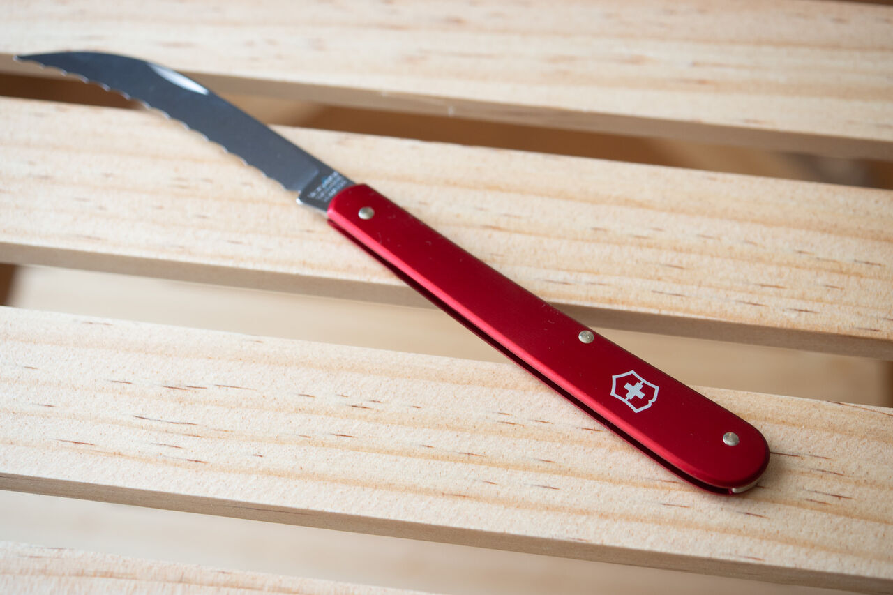山×パン＝これ [VICTORINOX ベーカーズナイフ] : 山に野に川に呑みに