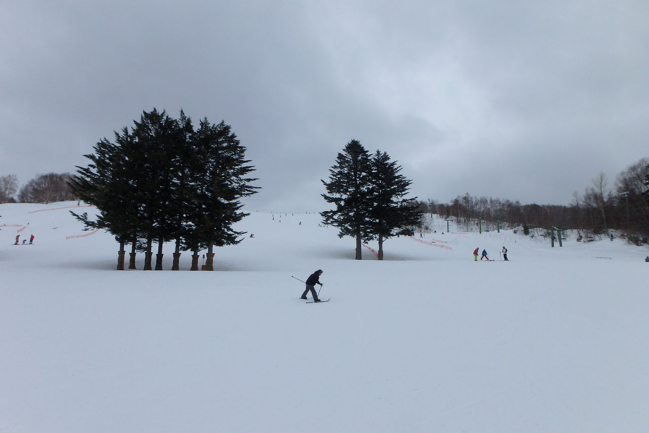 ダイナスティスキーリゾート 野幌森林公園 3 1 山に野に川に呑みに ダイナスティスキーリゾート 野幌森林公園 3 1 山に野に川に呑みに