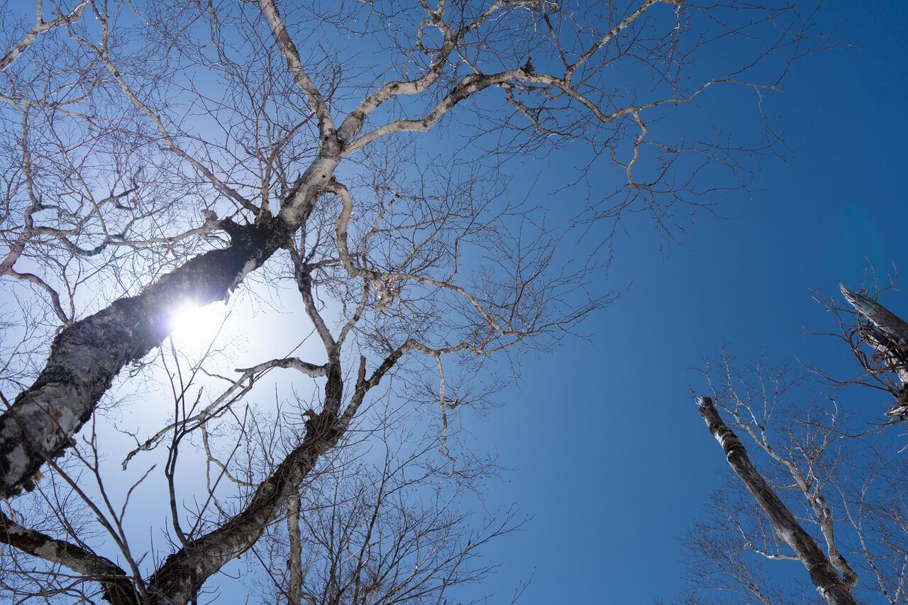 専用山 SNOWHIKE to RIDE (4/7) : 山に野に川に呑みに