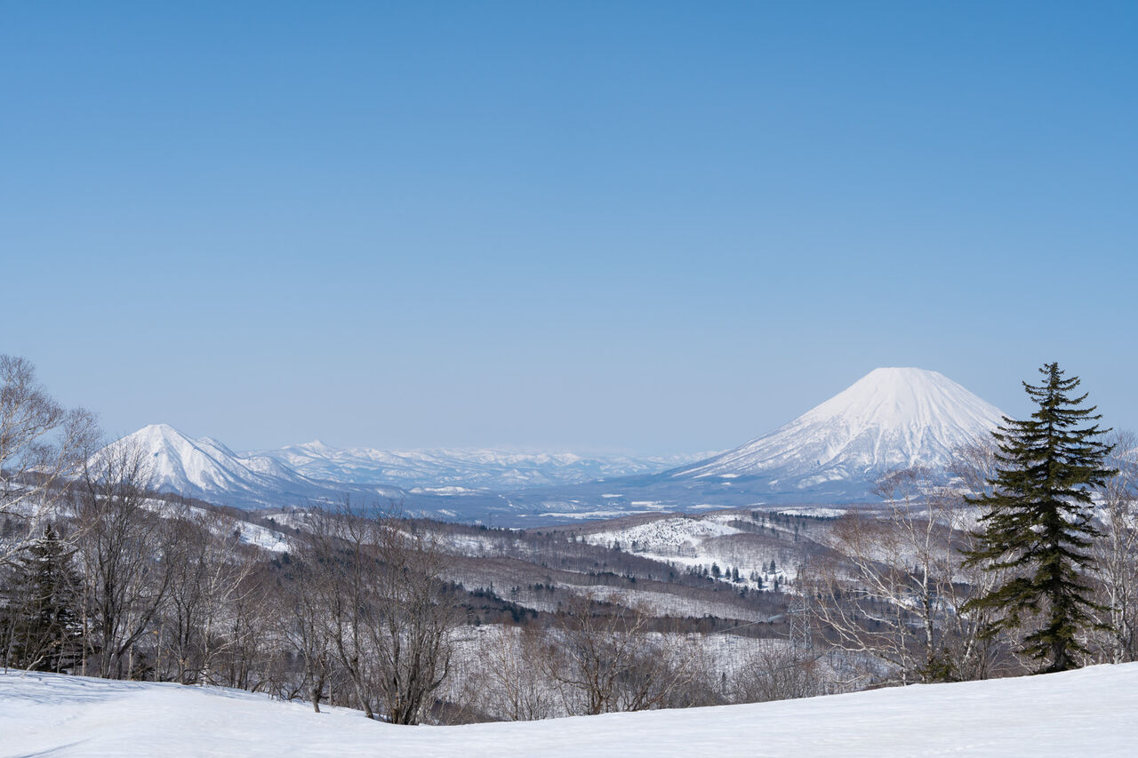 専用山 FW ダンロップ SRIXON ZX 21度 flex:R Diamana ZX50 メンズ右