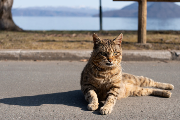 SNOWHIKE to RIDE (4/7) : 山に野に川に呑みに