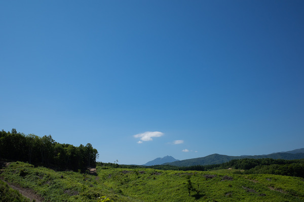 R0001272.jpg