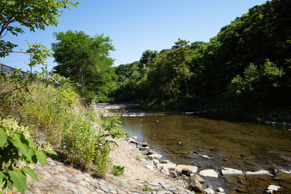 R0001268.jpg