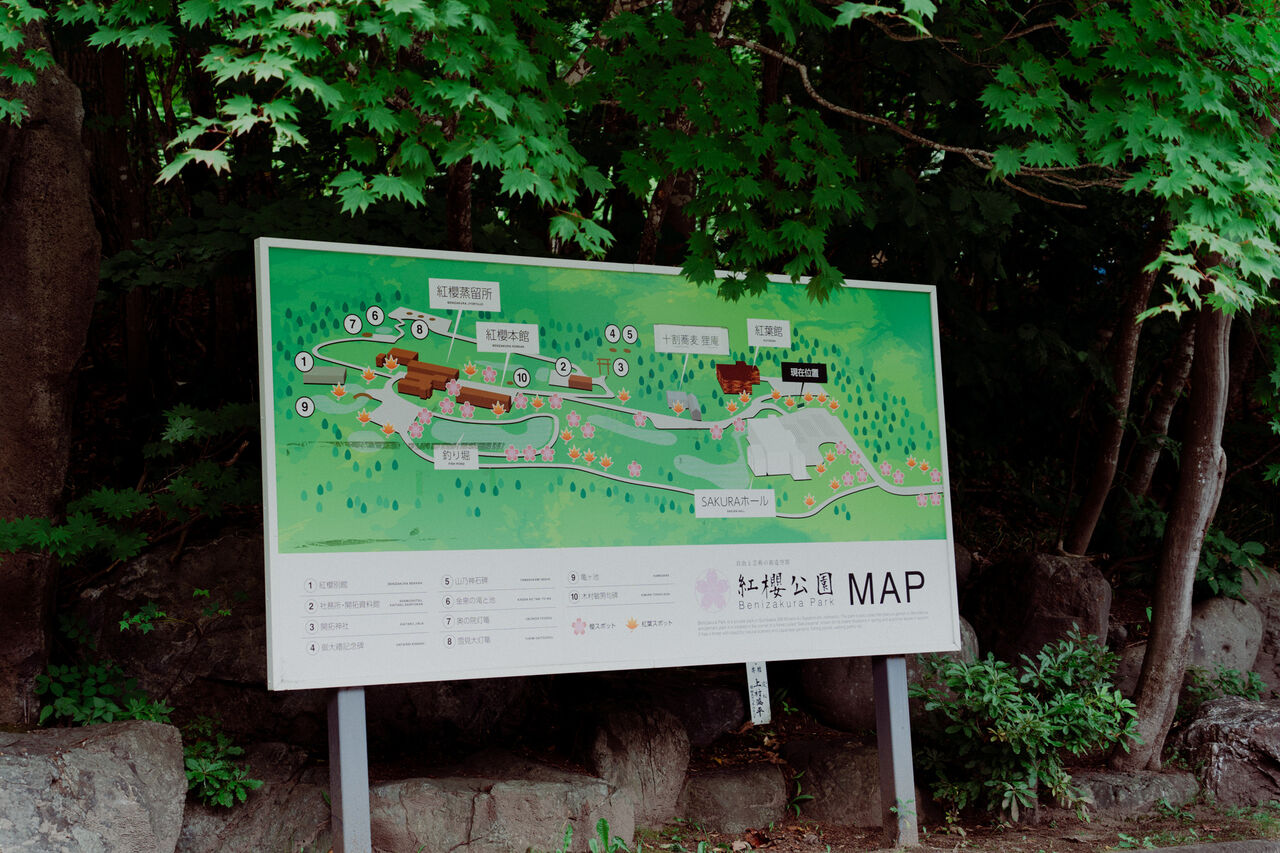 櫻の園 TOKYO SAKURA GARDEN SPRING FESTIVAL 2024 HAPPO-EN 八芳園2024.4.2