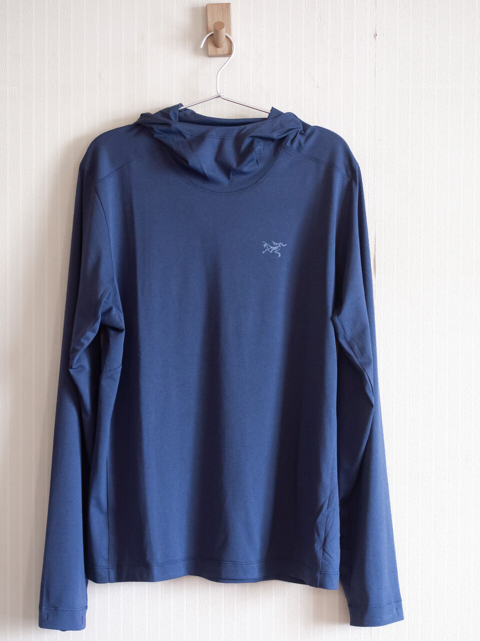 ARC’TERYX Remige Hoody サイズM Arc'Teryx Remige Hoody Men's