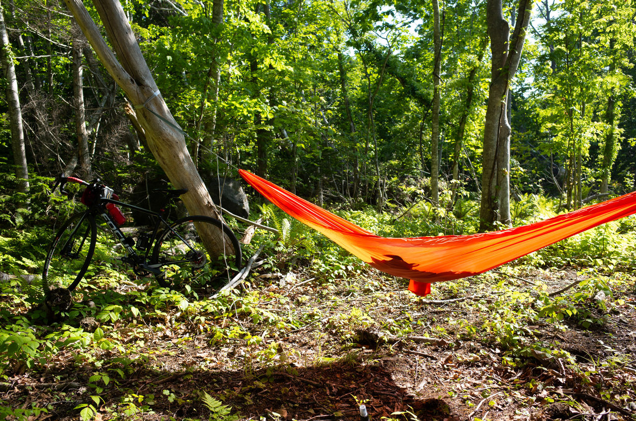 た*と様 eno Sub6 Hammock オレンジ A1l7EB2Jv2L._UF894,1000_QL80_.jpg