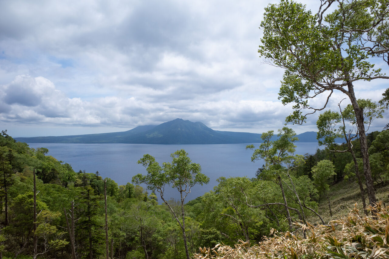 myda様専用】テクニファイバー ブラックコード 200mロール 1.18mm