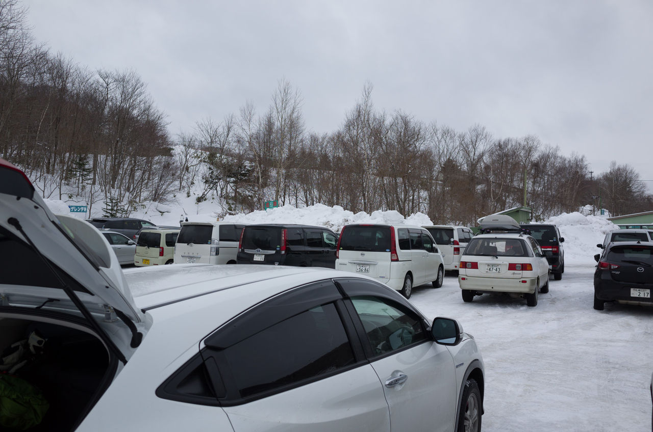 ダイナスティスキーリゾート 野幌森林公園 3 1 山に野に川に呑みに ダイナスティスキーリゾート 野幌森林公園 3 1 山に野に川に呑みに