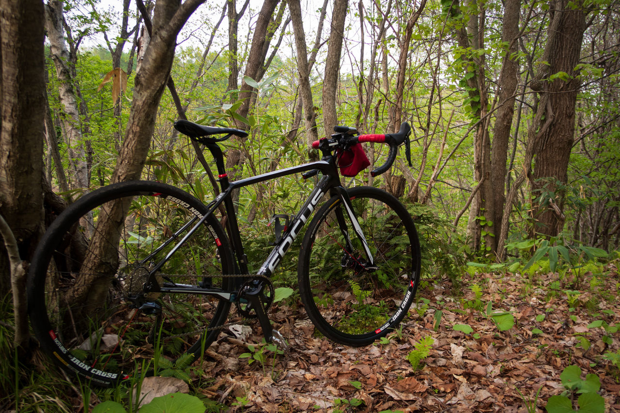 シングル　ロード シングル ロード ロードバイクのフロントシングル化(1x11) : 山
