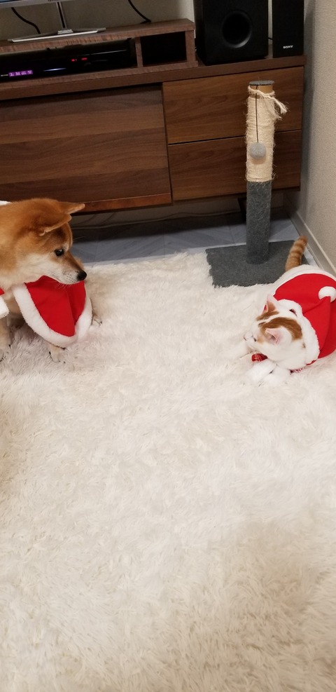 20211222_003327