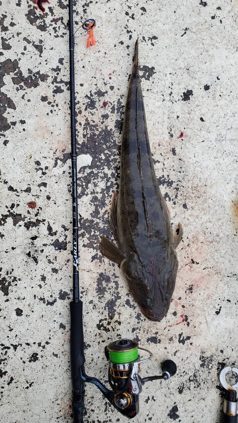 0784A937-7964-402E-97C3-6D13C84EB0B3