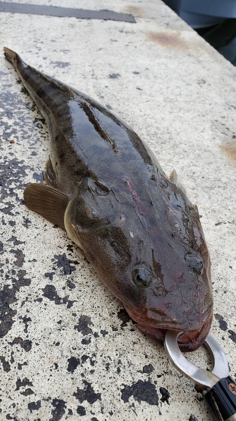 0F2D0CE4-0504-4F51-B94A-CE9F281C3B77