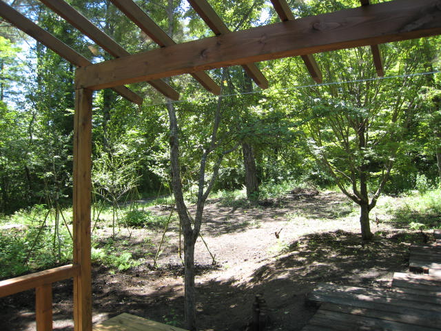 ポリカの屋根は 汚れやすい ぽてーれ日記 あぷりこ日誌