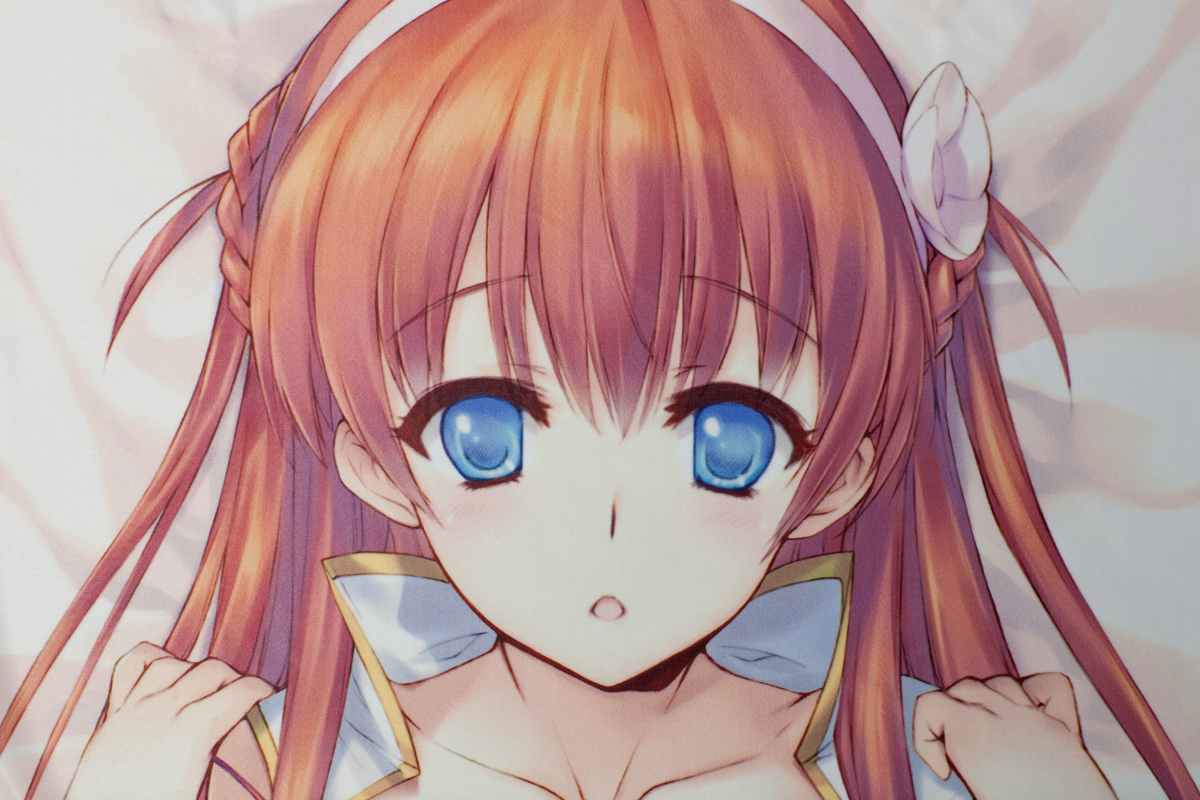 C84 アリシア 抱き枕 カワタヒサシ ダントラ2 気のままに