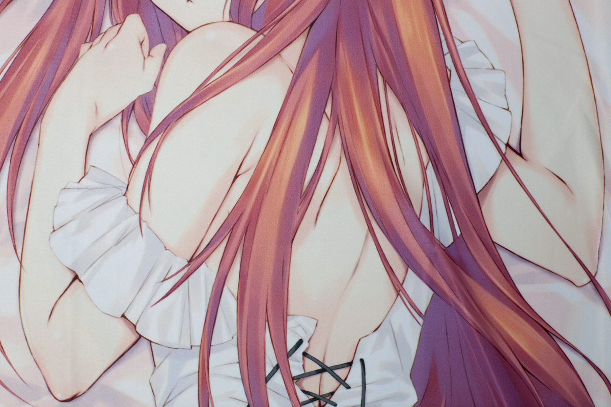 C84 アリシア 抱き枕 カワタヒサシ ダントラ2 気のままに