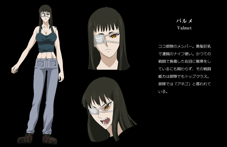 海外のアニメファン お前らの国はアニメでどんな風に描かれてる 翻訳冒険活劇