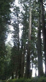 DVC00011 (2)