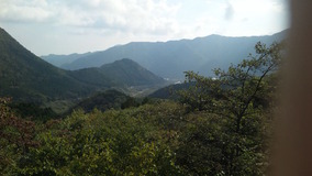 DVC00031