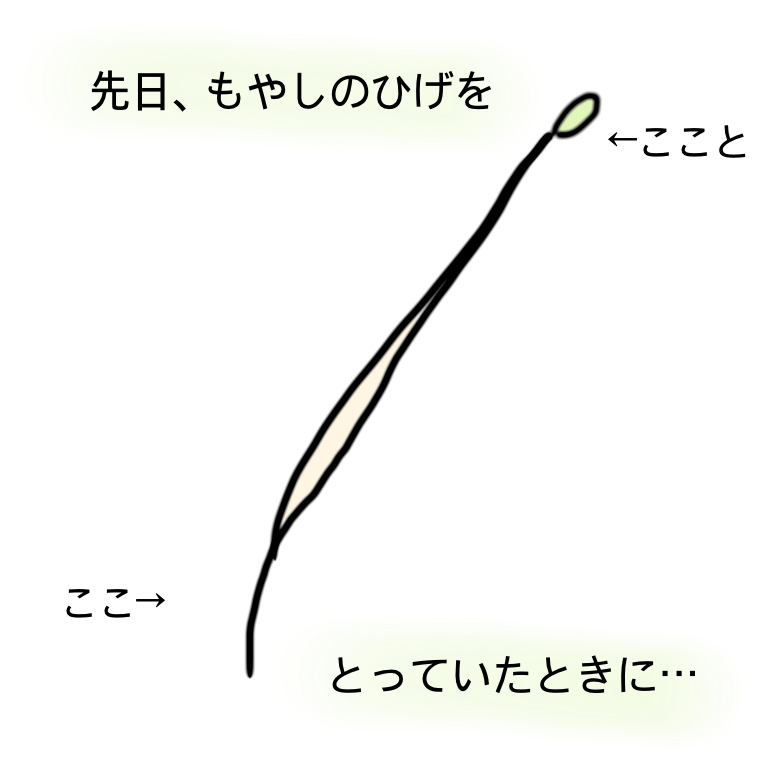 もやしのひげちゃん ぽちとかれちゃんともふくんの日常 もやしのひげちゃん ぽちとかれちゃんともふくんの日常