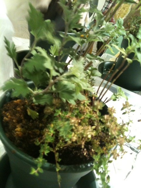 photo:04