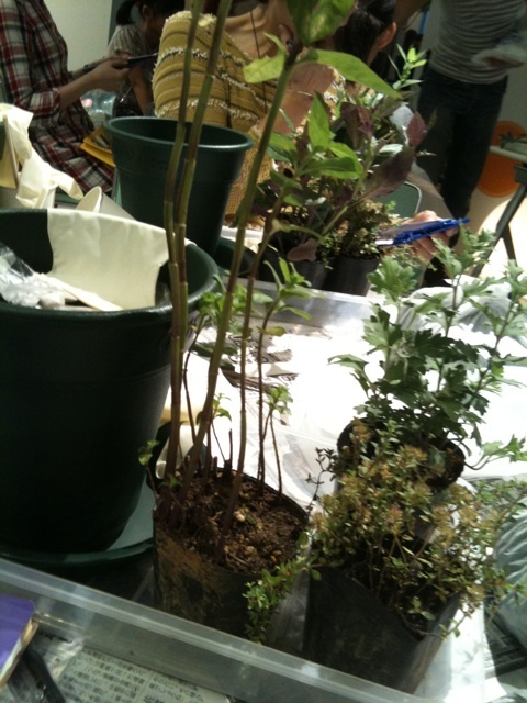 photo:01