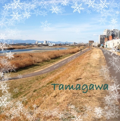 photo:01
