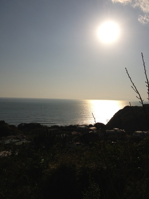 photo:04