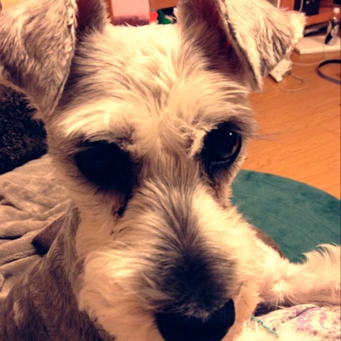 photo:01