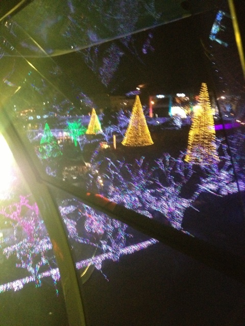 photo:01
